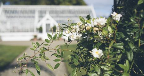 The Walled Garden at The Carriage Rooms Montalto Estate