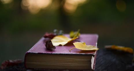 Wild about Poetry, Slieve Gullion Forest Park | Forest Activities