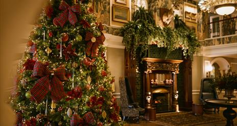 Image of Christmas Tree beside fireplace in Slieve Donard Hotel