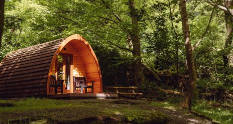 Castle Ward Glamping Pod