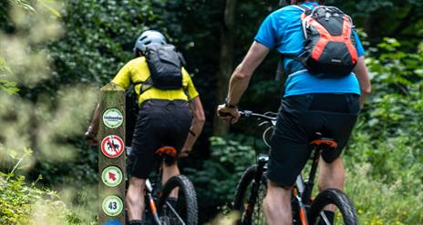 Electric Mountain Biking Castlewellan Forest Park