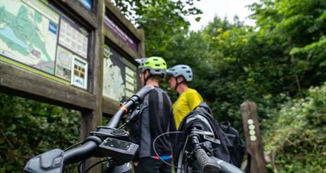 Mountain Biking Castlewellan MTB Trails