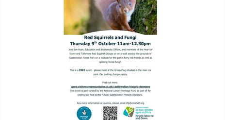 Red Squirrels and Fungi
