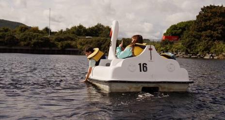 family on swan pedlos