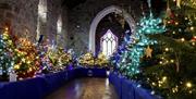 Christmas Trees in Kilhorne Parish Church, Annalong