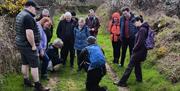 Foraged Food Slieve Gullion