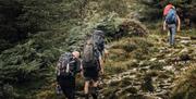 Wild River Dipping Hiking