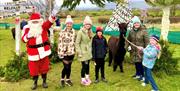 cranfield alpacas Christmas fest event