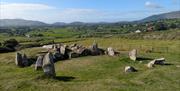 Ballymacdermot Court Tomb