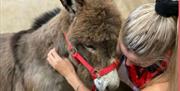 Woman Cuddling Donkey