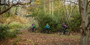 Castlewellan Mountain Bike Trails