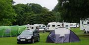 An image showing Caravans and tents pitched at Kilbroney Caravan Park in Kilbroney Park
