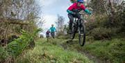 Castlewellan Mountain Bike Trails