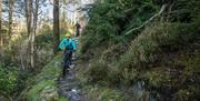 Castlewellan Mountain Bike Trails