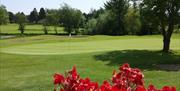 St Patrick's Golf Club 11th green