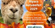 Cranfield Alpacas Autumn