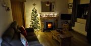 Living room with a sofa, coffee table, TV, window, woodburning fireplace, mirror and a Christmas tree.