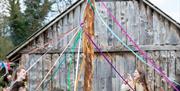 Maypole at Ballydugan site