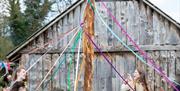 Maypole at Ballydugan site