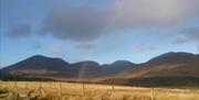 View of the Mournes with golden grass field