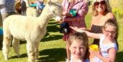 Ladies and children feeding Alpaca