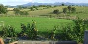 Garden terrace with view of Mourne Mountains