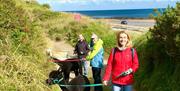 Festive Alpaca Beach Trek - get active