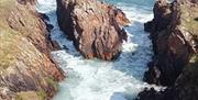 Lecale Costal Forage