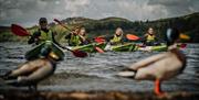 Sit On Top Kayaking Castlewellan Lake