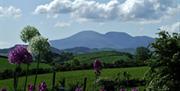 View of the Mourne Mountains
