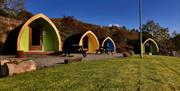 East Coast Glamping Tier 1 Pods