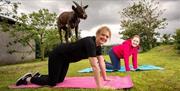 Goat Yoga