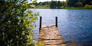 Bridge looking over water in finnebrogue woods