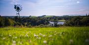 Picture of grass and windmill