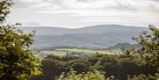 Mountain Views at Slieve Gullion Forest Park