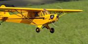 Model aeroplanes sitting on the grass ready to fly.