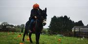 Donkey Rider with Pumpkin Head