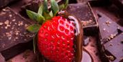 Chocolate Strawberries