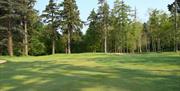 Approach to 4th green surrounded by aged old pine trees