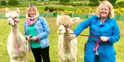 Ladies Enjoying a Field Walk Treat