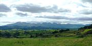 Mournes View