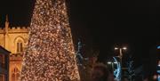 Newry City Christmas Tree