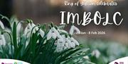 Imbolc Image