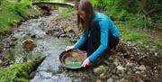 Gold Panning