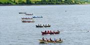 St Ayles Skiffs on Strangford Lough at Delamont Country Park.