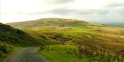 Near Slieve Croob Car Park