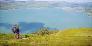 The Fallows Trail - view across Carlingford Lough from Rostrevor