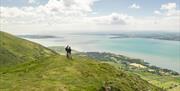 The Fallows Trail - view across Carlingford Lough