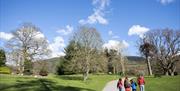 Walking on the Tree Trail in Kilbroney Park