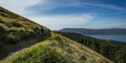 Rostrevor Mountain Bike Trail